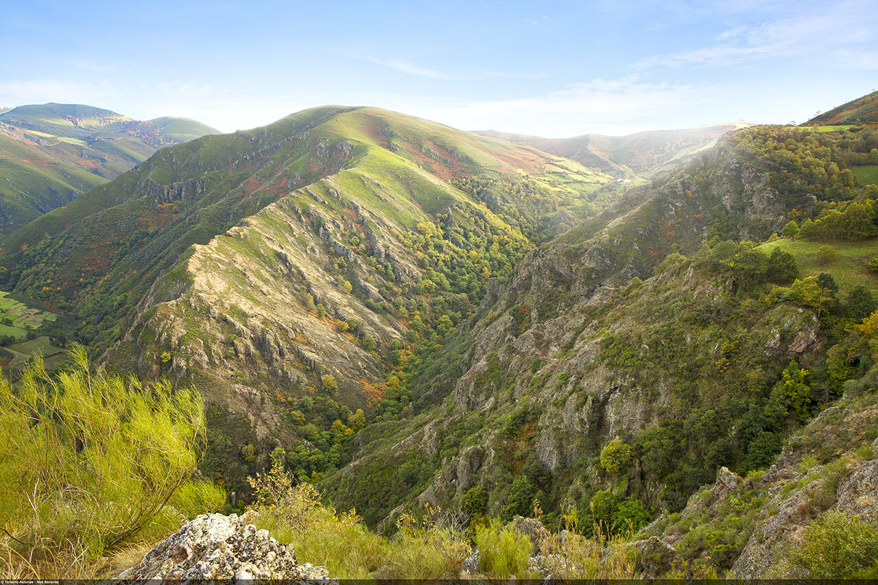 Parc Natural de les Fonts del Narcea.